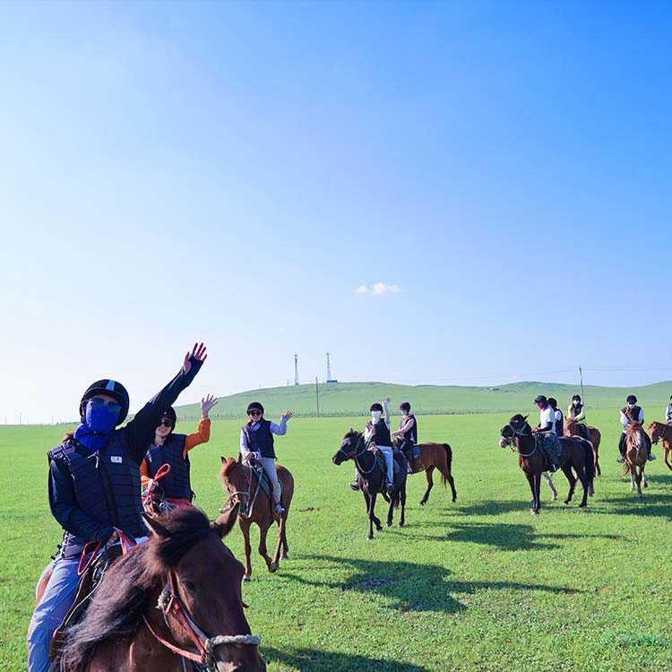 پرونده آموزش اسب سواری